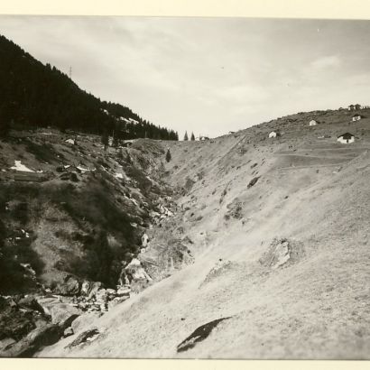 mezzene0